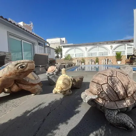 Apartment Tenerife Little Village 1d
